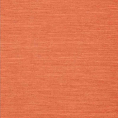 Thibaut Shang Extra Fine Sisal Wallpaper in Apricot